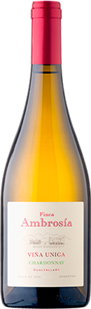 Finca Ambrosía Viña Unica Chardonnay